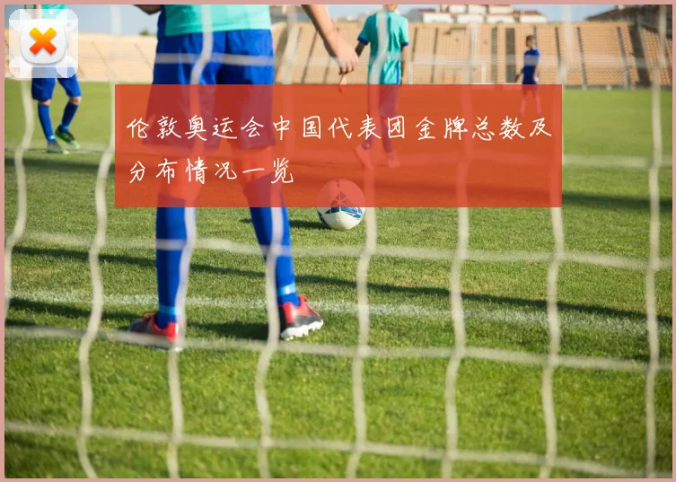 伦敦奥运会中国代表团金牌总数及分布情况一览