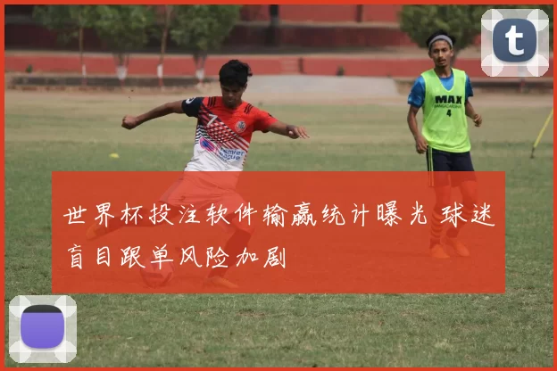 世界杯投注软件输赢统计曝光 球迷盲目跟单风险加剧